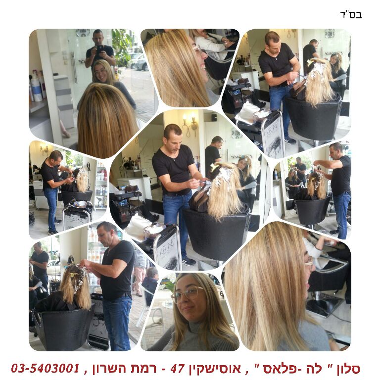 גלריה